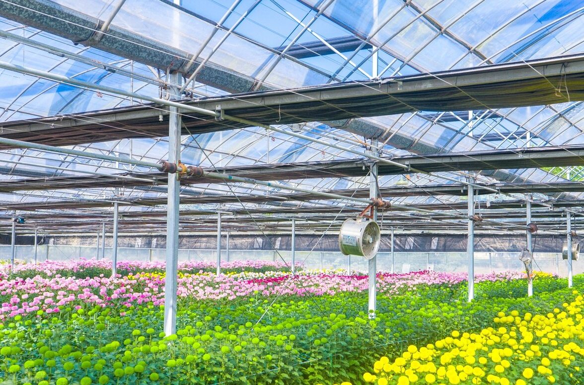 What is the function of the greenhouse?