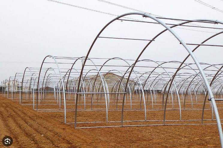 tunnel greenhouse